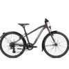 ORBEA KIDS 2021 MX 24 PARK PURPLE (MATTE) - MINT (GLOSS)