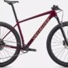 Specialized EPIC HT COMP MRN/ICEPPYA