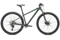 Specialized Rockhopper Elite 29 GLOSS SAGE GREEN / OAK GREEN
