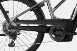 Cannondale Cannodnale Tesoro Neo X 1 StepThru Grey -GearWerk Verkaufs-Shop Bildschirmfoto 2022 03 07 um 14 39 31 21323621