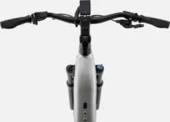 Cannondale Tesoro Neo X 1 LowStepThru Grey -GearWerk Verkaufs-Shop Bildschirmfoto 2022 03 17 um 12 02 05 21323666