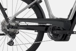 Cannondale Tesoro Neo X 1 LowStepThru Grey -GearWerk Verkaufs-Shop Bildschirmfoto 2022 03 17 um 12 02 32 21323666