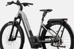 Cannondale Tesoro Neo X 1 LowStepThru Grey -GearWerk Verkaufs-Shop Bildschirmfoto 2022 03 17 um 12 02 54 21323666