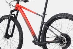 CANNONDALE 29" TRAIL SL 3 RALLY RED 13 CANNONDALE 29" TRAIL SL 3 RALLY RED -GearWerk Verkaufs-Shop C21 C26351M Trail SL 3 RRD D5 21133279