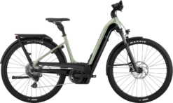 Cannondale Cannodnale Tesoro Neo X 1 LowStepThru Agave -GearWerk Verkaufs-Shop C22 C64232U Tesoro Neo X 1 LSTH AGV PD 21323713