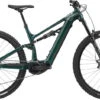 Cannondale Moterra Neo S1 Gunmetal Green