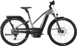 Cannondale Cannodnale Tesoro Neo X 1 StepThru Grey -GearWerk Verkaufs-Shop C22 C66212U Tesoro Neo X 1 STH GRY PD 21323621