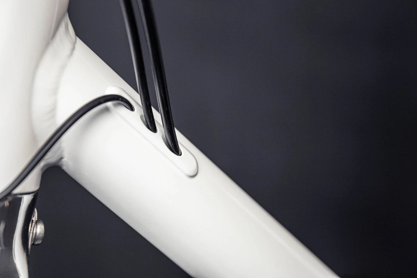 Schindelhauer Friedrich XI 10 Schindelhauer Friedrich XI – Bild 10