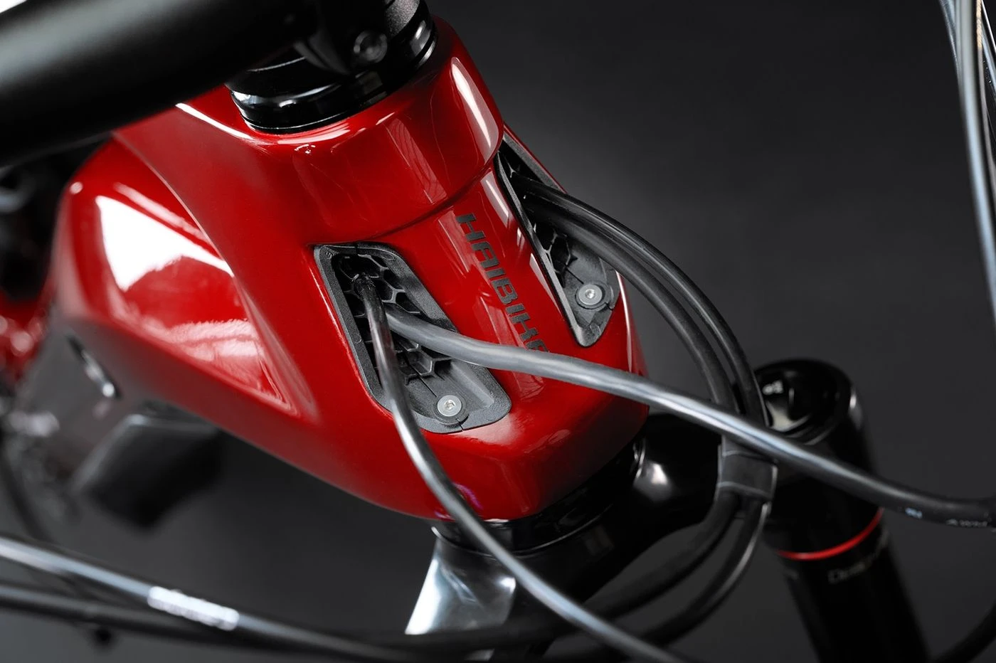 Haibike AllMtn CF12 8 Haibike AllMtn CF12 – Bild 8