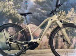 CANNONDALE CANVAS NEO 2 REMIXTE CHP -GearWerk Verkaufs-Shop IMG 3044 DT 21114380