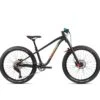 ORBEA LAUFEY 24 H10 Black (Matte) - Rainbow (Gloss)