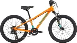 CANNONDALE KIDS TRAIL CRU
